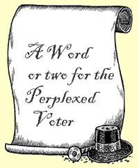 A Word or two for the Perplexed Voter